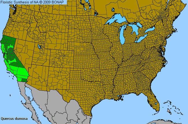 Allergies By County Map For Coastal Sage Scrub Oak