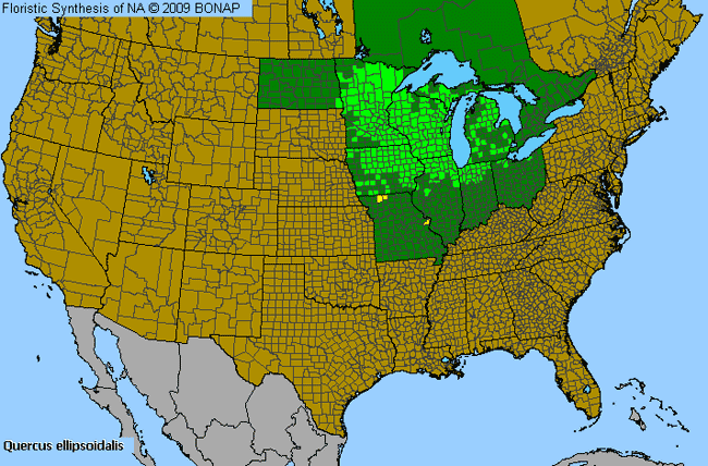 Allergies By County Map For Northern Pin Oak