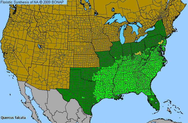 Allergies By County Map For Southern Red Oak