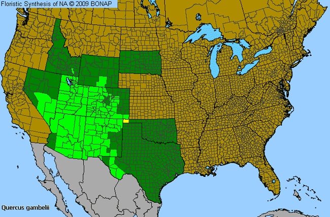 Allergies By County Map For Gambel's Oak