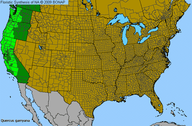 Allergies By County Map For Oregon White Oak