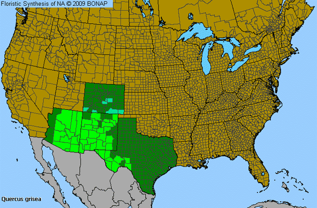 Allergies By County Map For Gray Oak