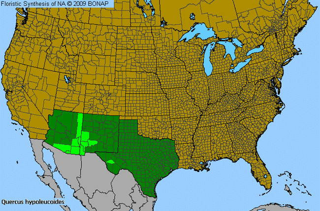 Allergies By County Map For Silver-Leaf Oak