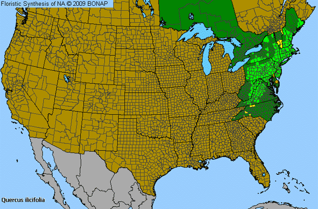 Allergies By County Map For Bear Oak