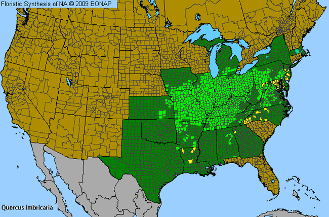 Allergies By County Map For Shingle Oak