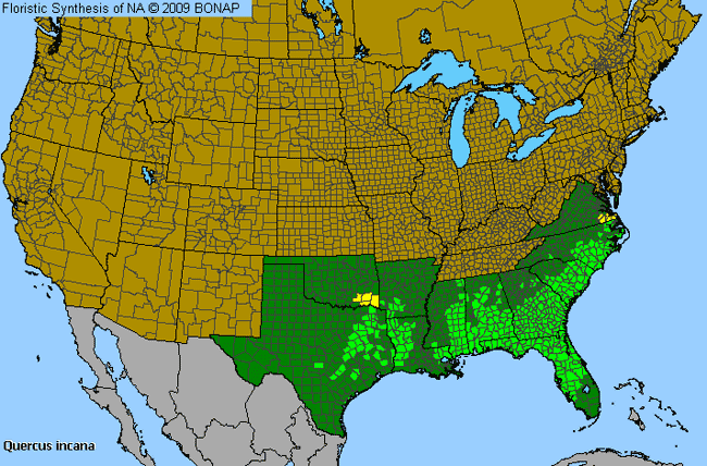 Allergies By County Map For Bluejack Oak