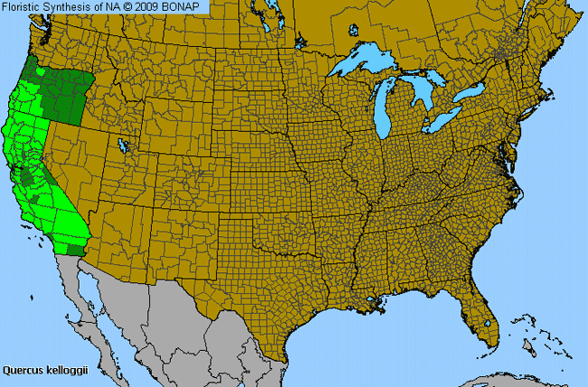 Allergies By County Map For California Black Oak