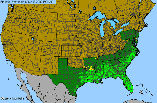 Allergies By County Map For Laurel Oak