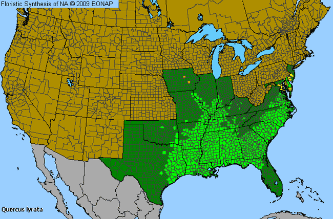 Allergies By County Map For Overcup Oak