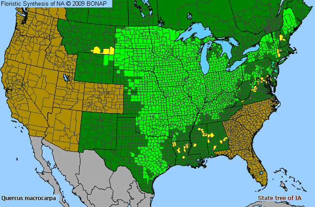 Allergies By County Map For Burr Oak