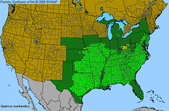 Allergies By County Map For Blackjack Oak