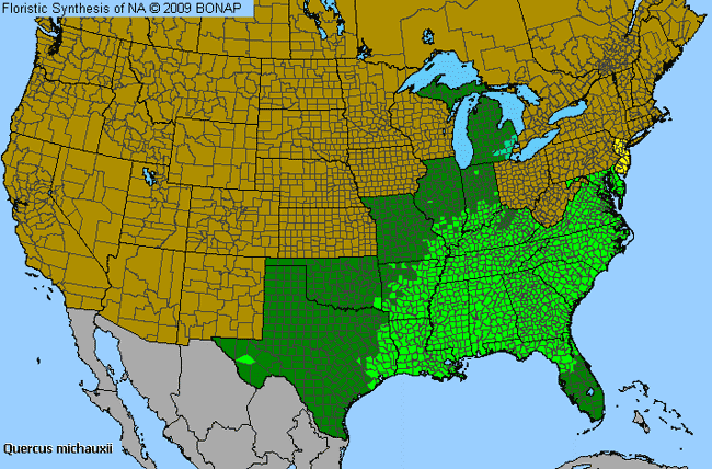 Allergies By County Map For Swamp Chestnut Oak