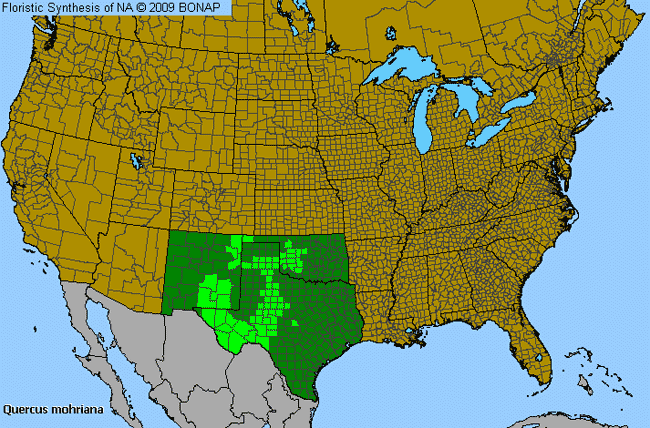 Allergies By County Map For Mohr's Oak