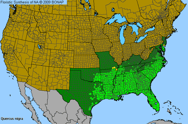 Allergies By County Map For Water Oak