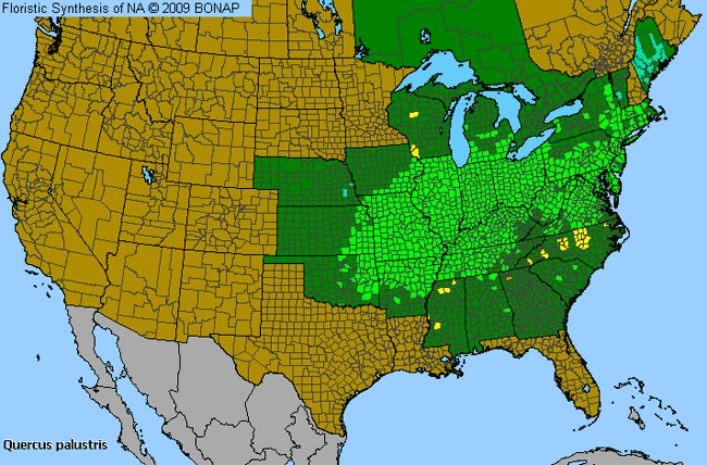 Allergies By County Map For Pin Oak