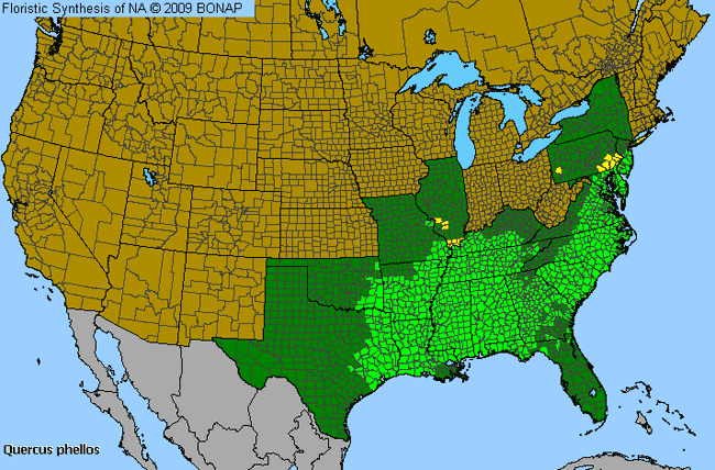 Allergies By County Map For Willow Oak