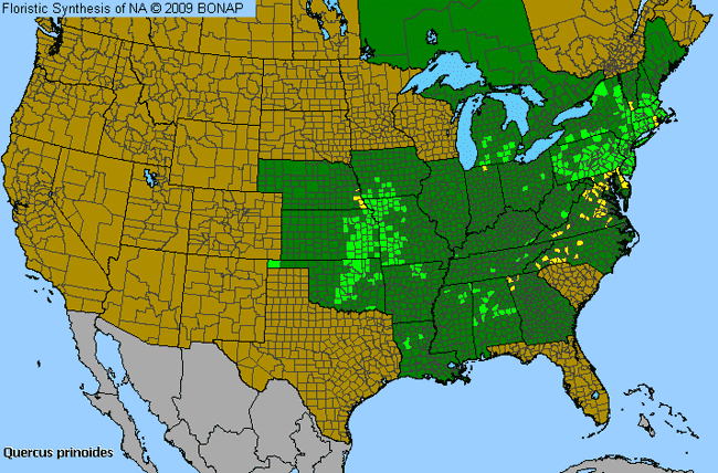 Allergies By County Map For Dwarf Chinkapin Oak