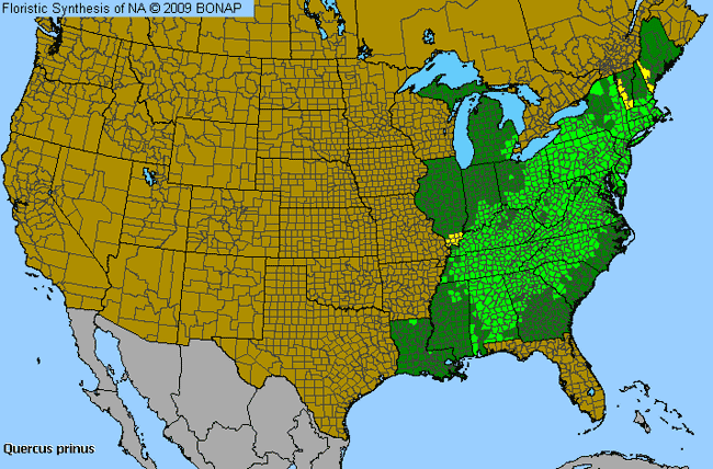 Allergies By County Map For Chestnut Oak