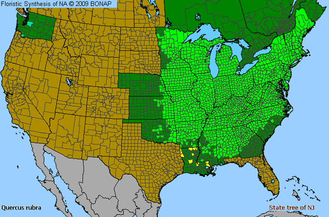 Allergies By County Map For Northern Red Oak