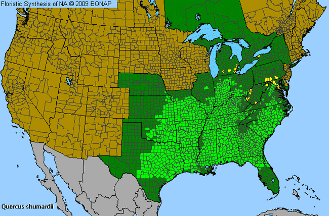 Allergies By County Map For Shumard's Oak