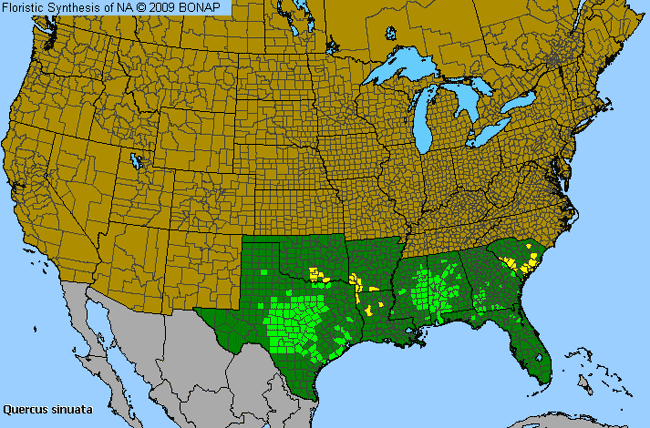 Allergies By County Map For Bastard Oak