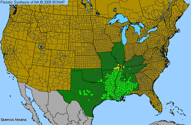 Allergies By County Map For Texas Red Oak