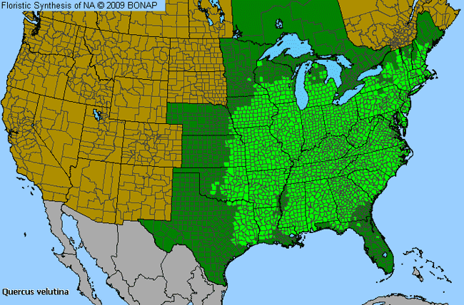 Allergies By County Map For Black Oak