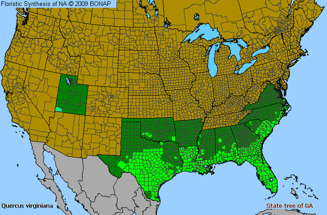 Allergies By County Map For Live Oak