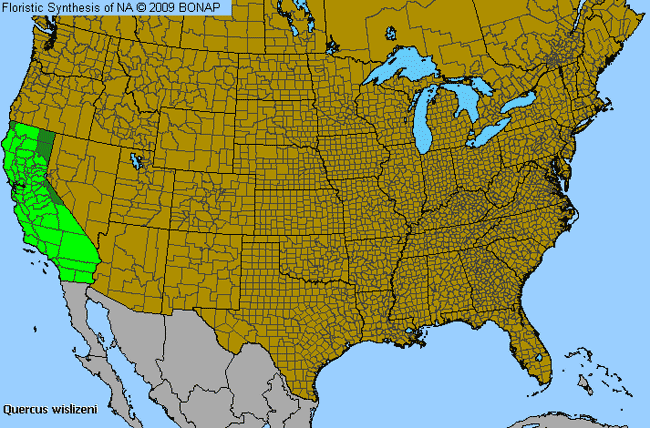 Allergies By County Map For Interior Live Oak