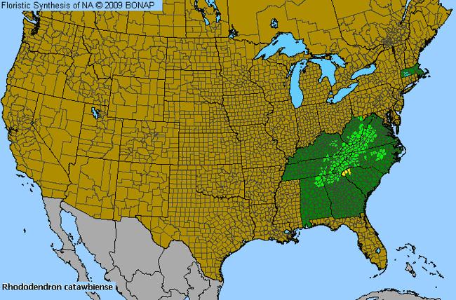 Allergies By County Map For Catawba Rosebay