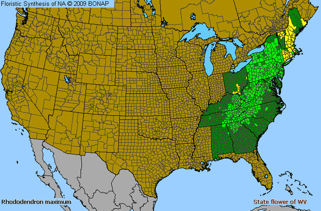 Allergies By County Map For Great-Laurel