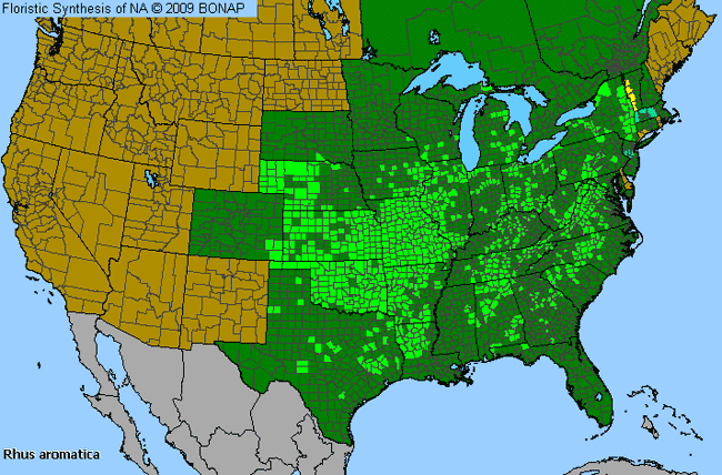 Allergies By County Map For Fragrant Sumac