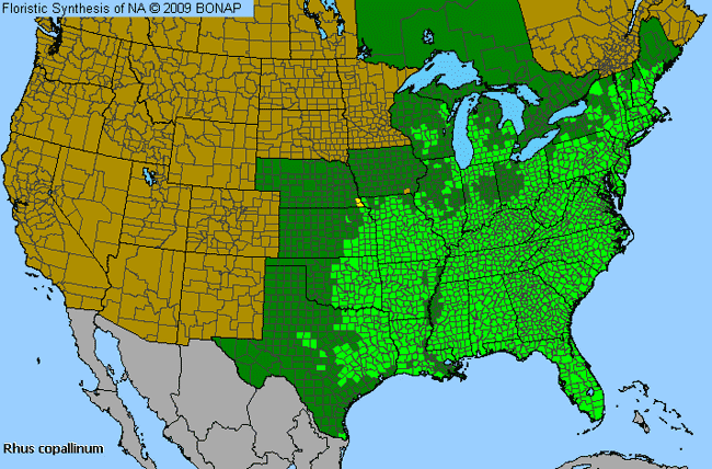 Allergies By County Map For Winged Sumac