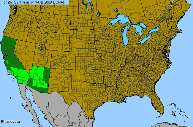 Allergies By County Map For Sugar Sumac