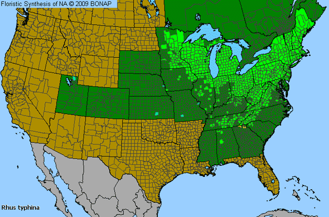 Allergies By County Map For Stag-Horn Sumac