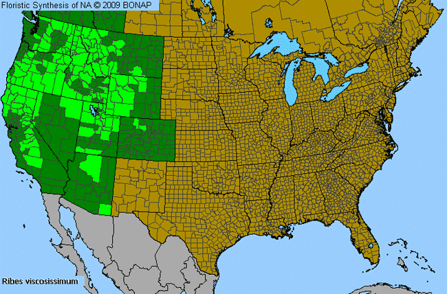 Allergies By County Map For Sticky Currant