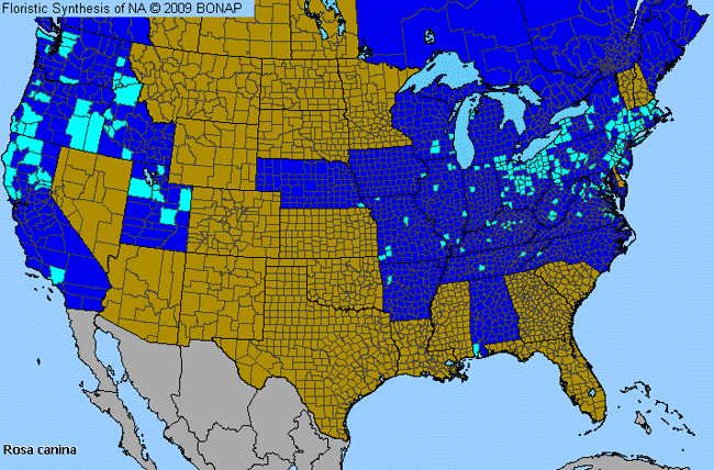 Allergies By County Map For Dog Rose