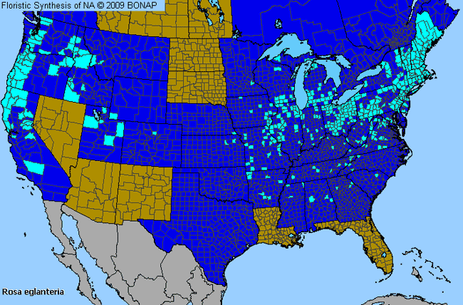 Allergies By County Map For Sweetbrier