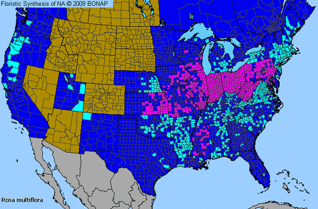 Allergies By County Map For Rambler Rose