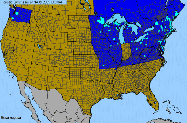 Allergies By County Map For Rugosa Rose