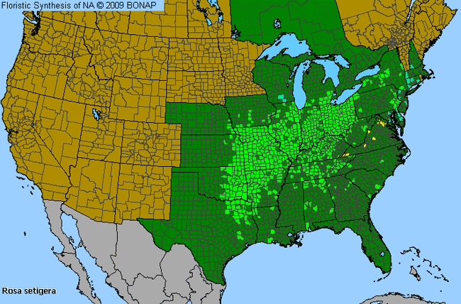 Allergies By County Map For Climbing Rose