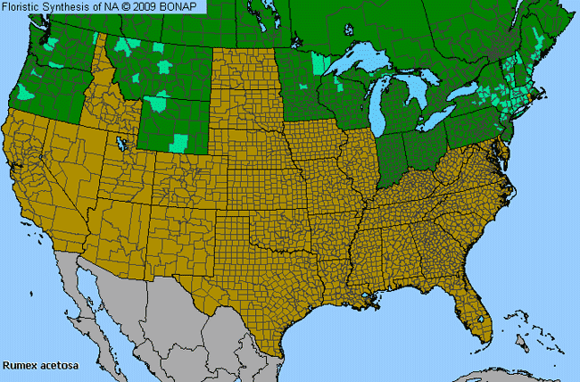 Allergies By County Map For Garden Sorrel