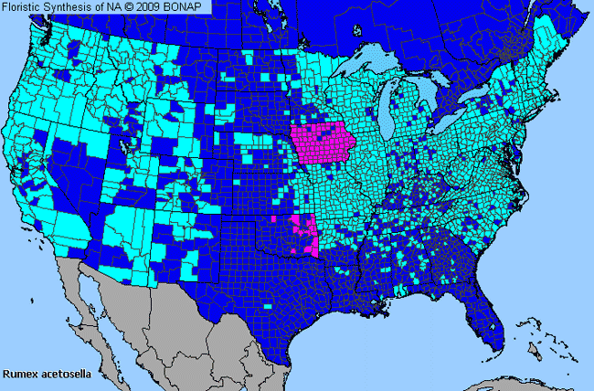 Allergies By County Map For Common Sheep Sorrel