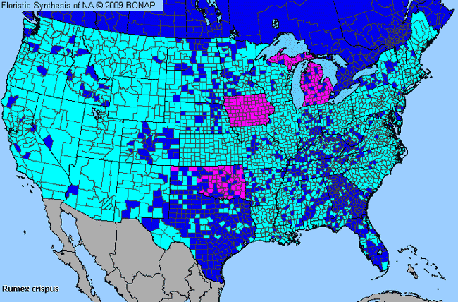 Allergies By County Map For Curly Dock