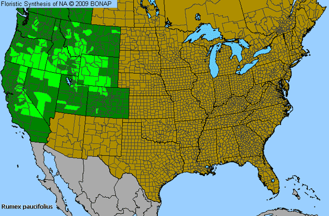 Allergies By County Map For Alpine Sheep Sorrel