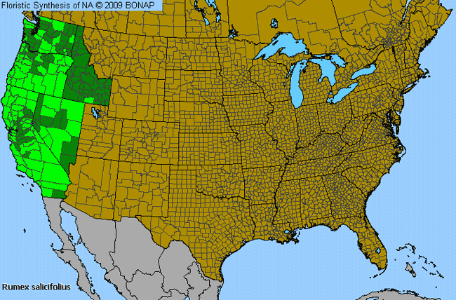 Allergies By County Map For Willow Dock