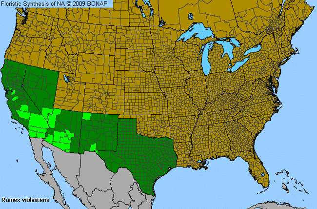 Allergies By County Map For Violet Dock