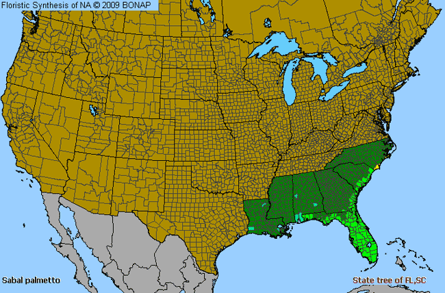 Allergies By County Map For Cabbage Palmetto