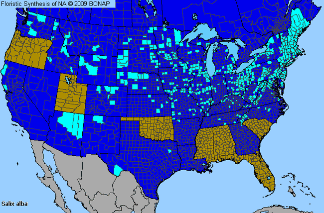 Allergies By County Map For White Willow