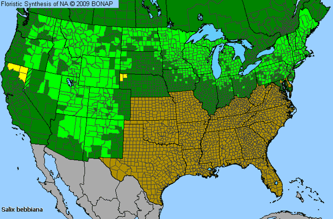 Allergies By County Map For Gray Willow